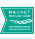 Magnet Recongnition